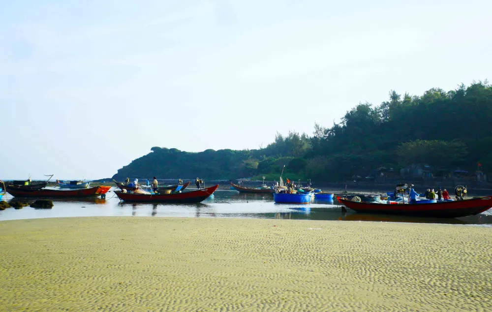 Ngư dân Quảng Ngãi trúng đậm “lộc ruốc” cuối năm ảnh 9