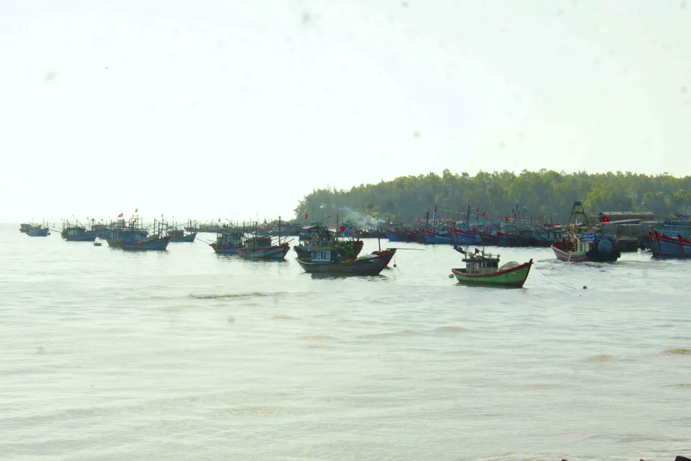 Lễ ra quân đánh bắt đầu năm ở Sa Kỳ ảnh 1