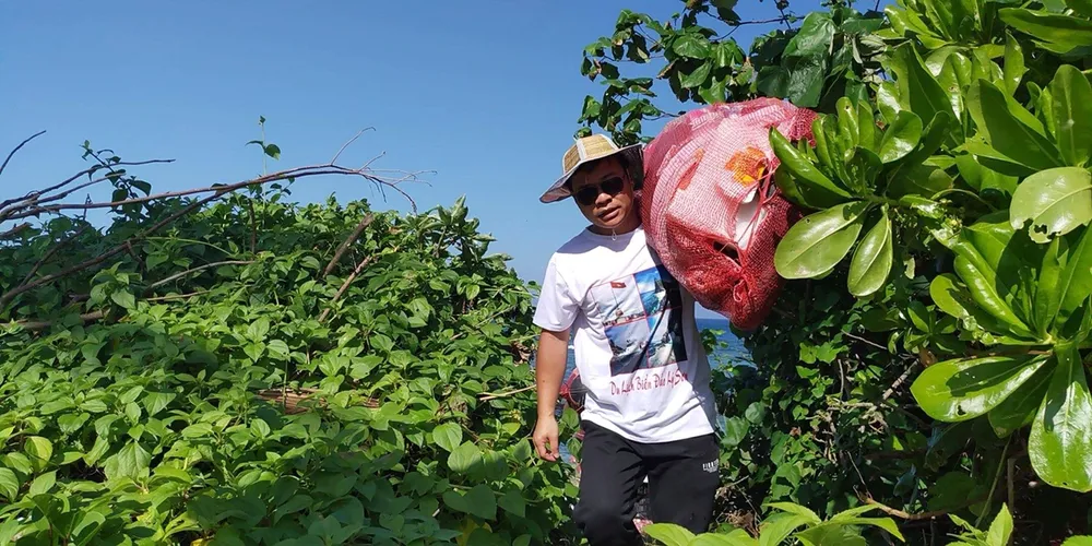 Lặn vớt rác dưới đáy biển Lý Sơn ảnh 4