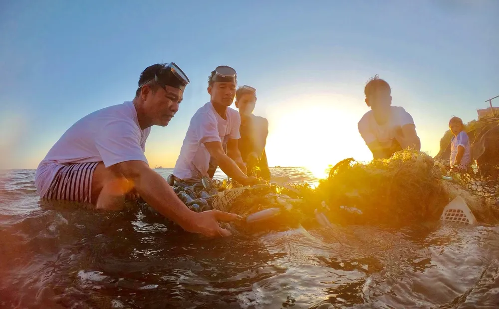 Lặn vớt rác dưới đáy biển Lý Sơn ảnh 6