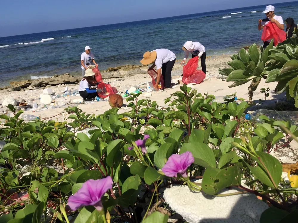 Lặn vớt rác dưới đáy biển Lý Sơn ảnh 1