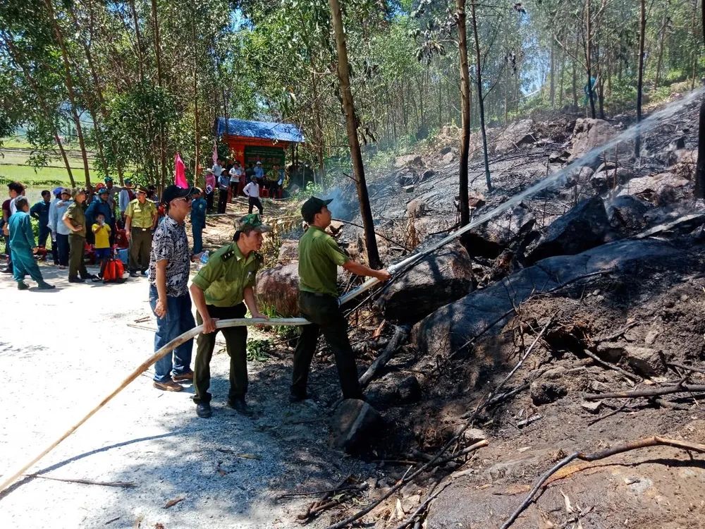 Diễn tập xử lý các tình huống cháy rừng ảnh 1