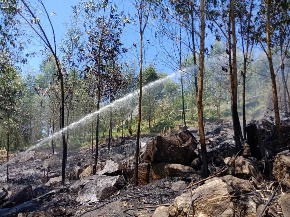 Diễn tập xử lý các tình huống cháy rừng ảnh 2