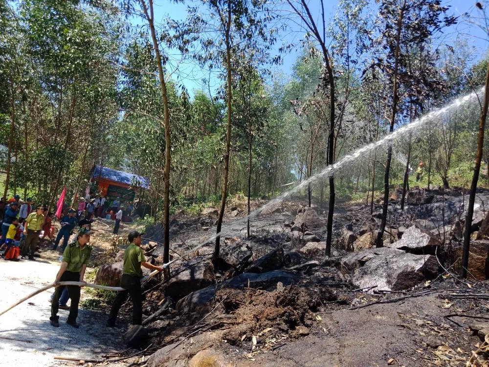 Diễn tập xử lý các tình huống cháy rừng ảnh 3