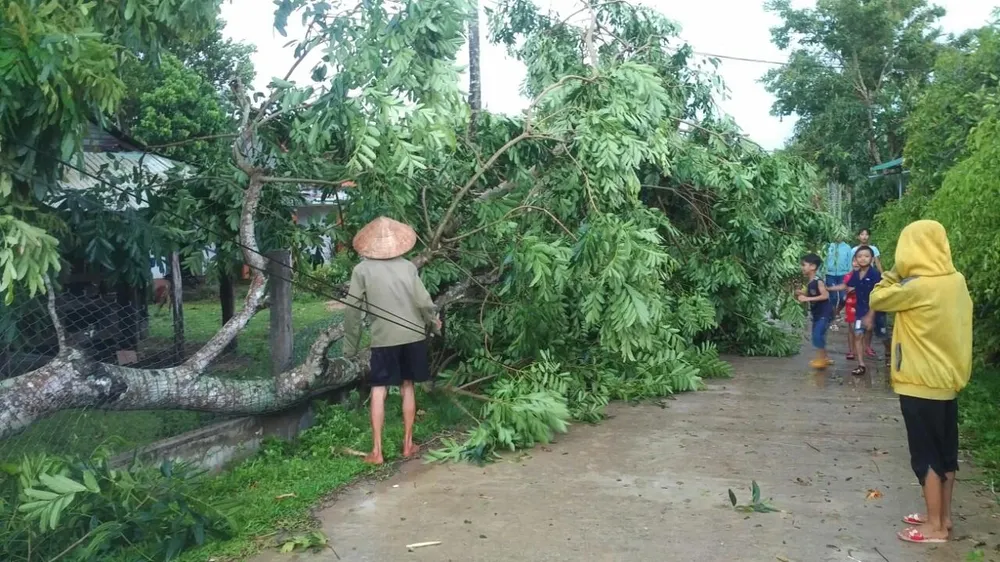 Lốc xoáy cuốn đổ sập hàng chục ngôi nhà ở Quảng Ngãi ảnh 4