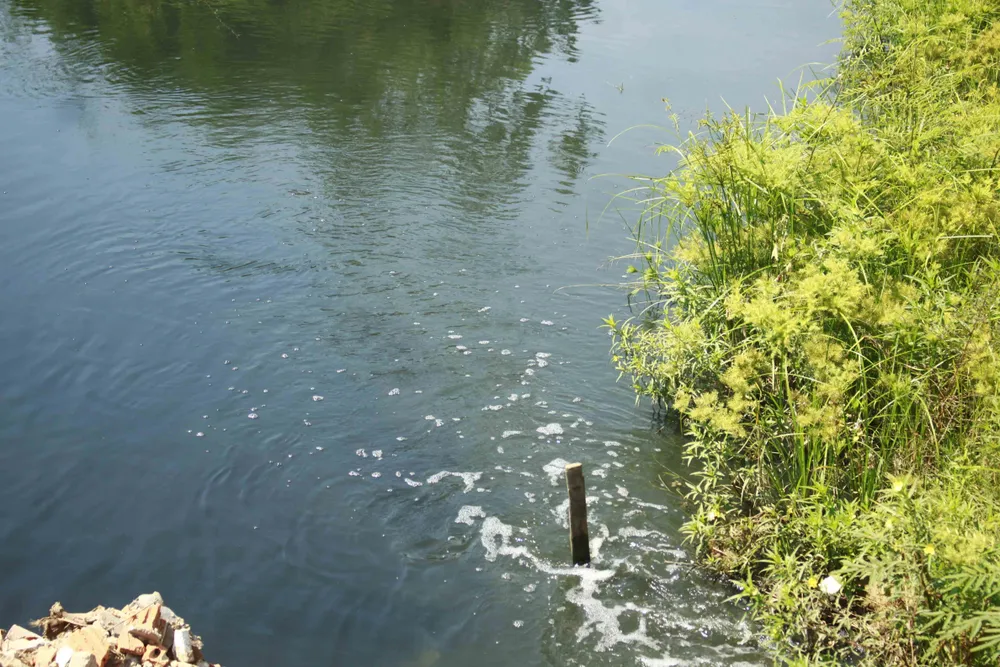 Người dân “nín thở” sống gần kênh ô nhiễm, bốc mùi ảnh 2