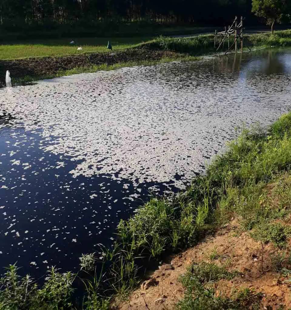 Người dân “nín thở” sống gần kênh ô nhiễm, bốc mùi ảnh 5