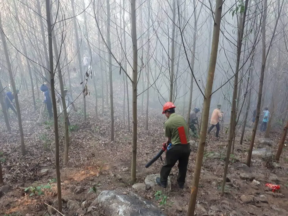 Cháy gần 15 ha rừng do sơ suất đốt rẫy ảnh 1