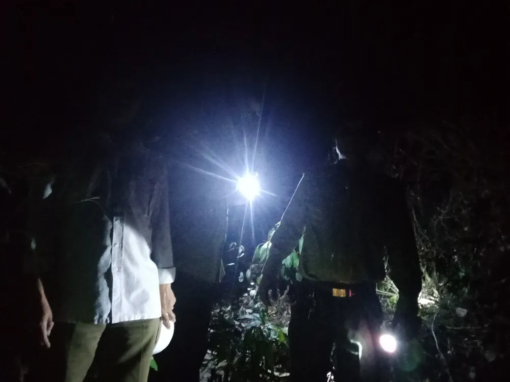 Chưa xác định đối tượng gây cháy, điểm xuất phát cháy rừng ở Đức Phổ, Quảng Ngãi ảnh 1