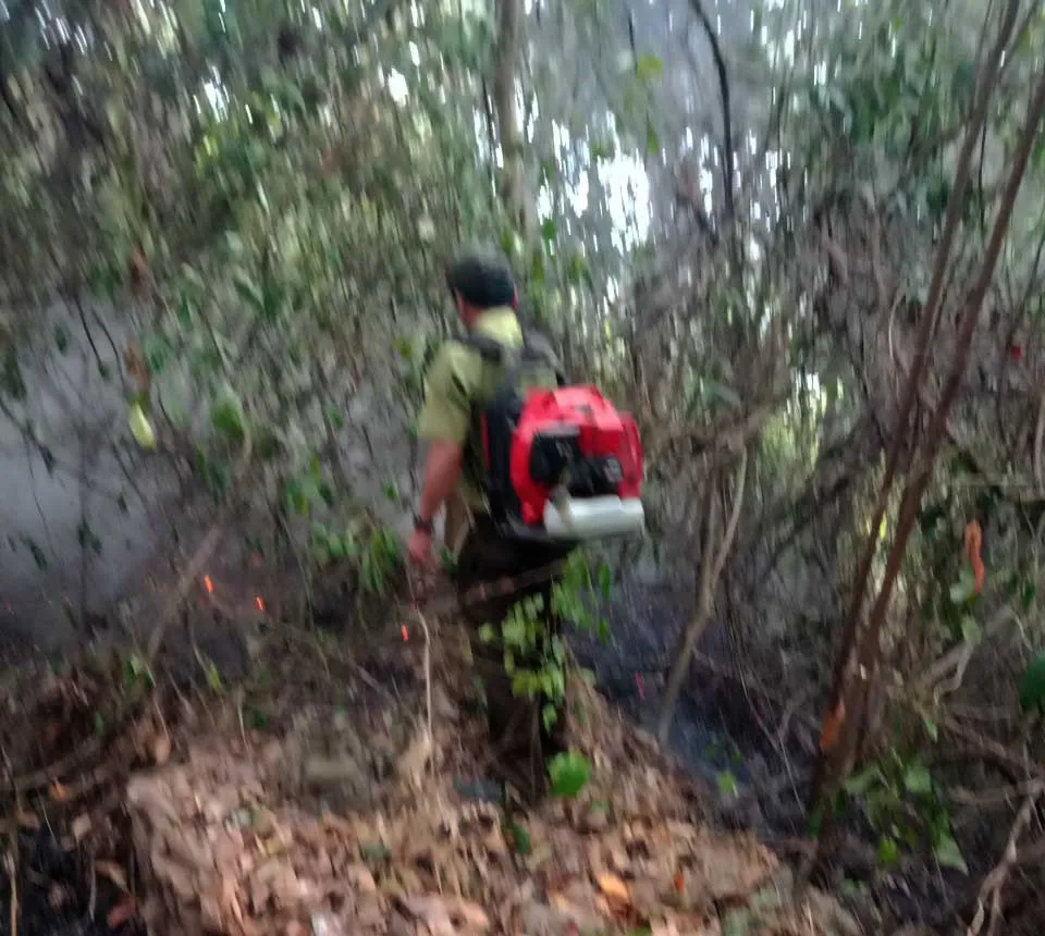 Trắng đêm khống chế vụ cháy rừng ở Đức Phổ, Quảng Ngãi ảnh 6