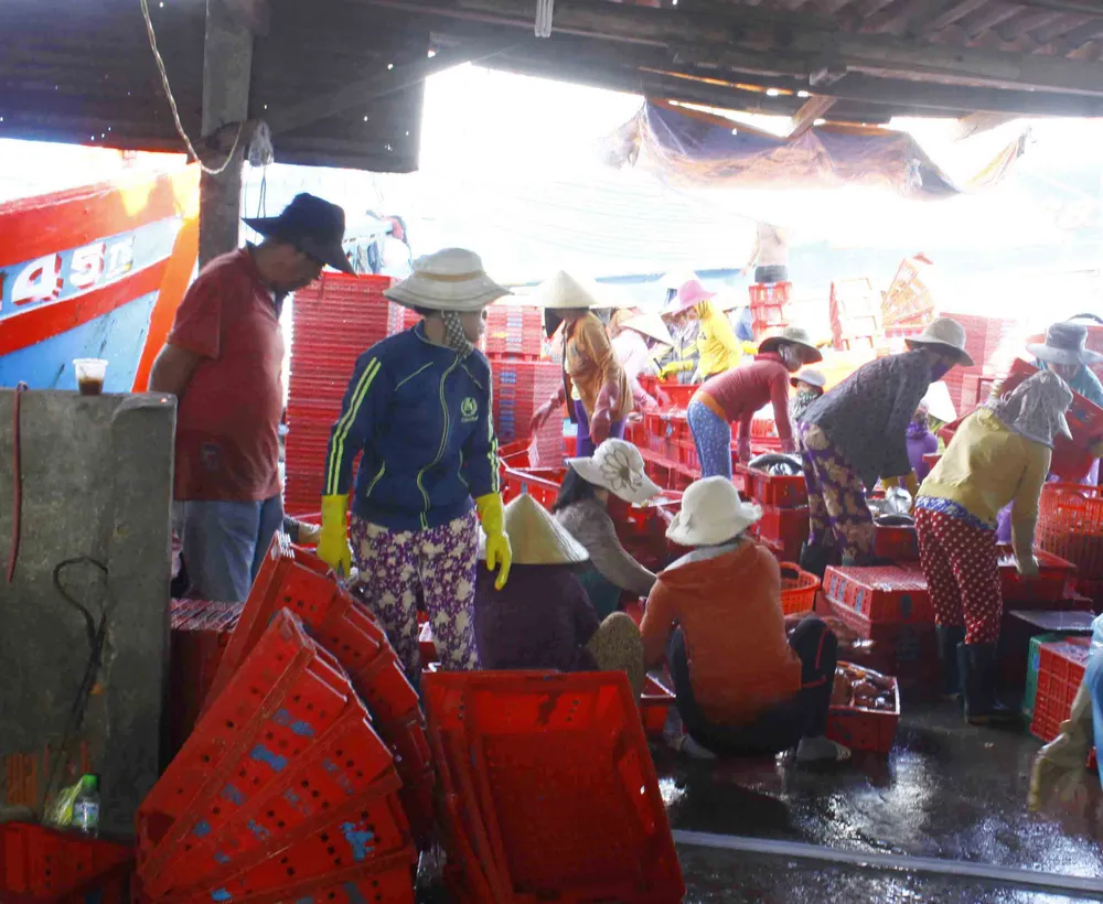 Quảng Ngãi: Chưa thực hiện lắp đặt thiết bị giám sát hành trình tàu cá ảnh 3