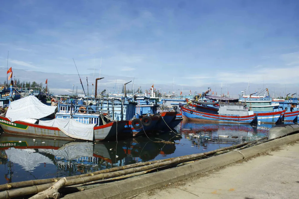 Tàu cá 3 năm bị “bỏ rơi” ở cảng, người trông tàu không thấy chủ quay lại ảnh 4