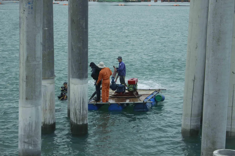 Chi 48 tỷ đồng để khai quật tàu cổ Dung Quất  ảnh 2