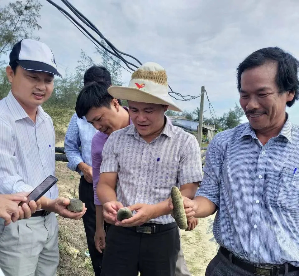 Quảng Ngãi: Đề xuất 1,9 tỷ tiếp tục nhân rộng mô hình nuôi thử nghiệm hải sâm ghép ốc hương  ảnh 2