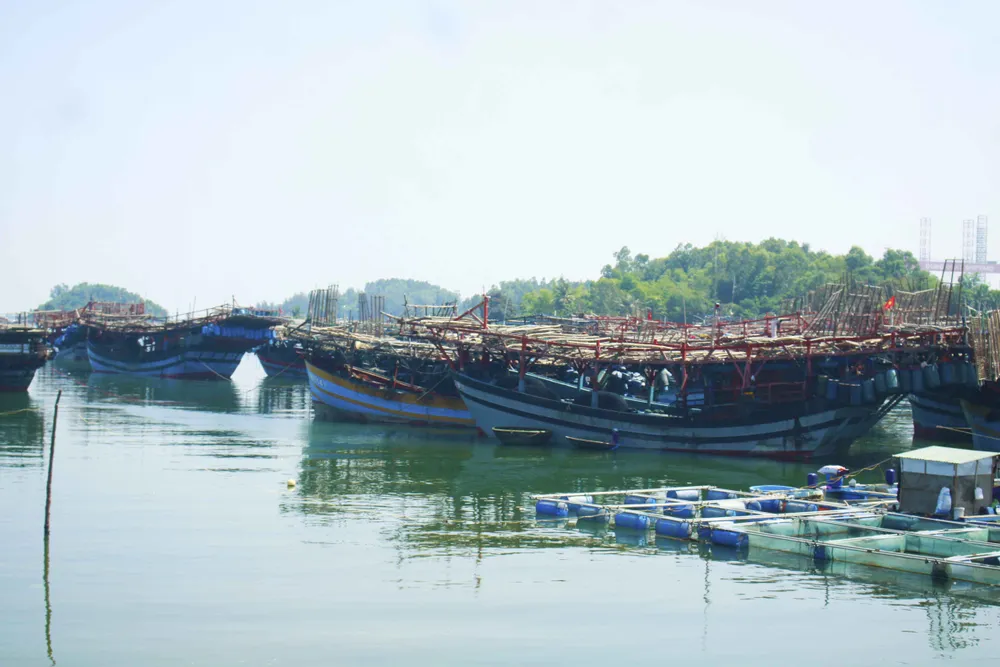 Quảng Ngãi: Ngư dân rơi xuống biển mất tích ảnh 1