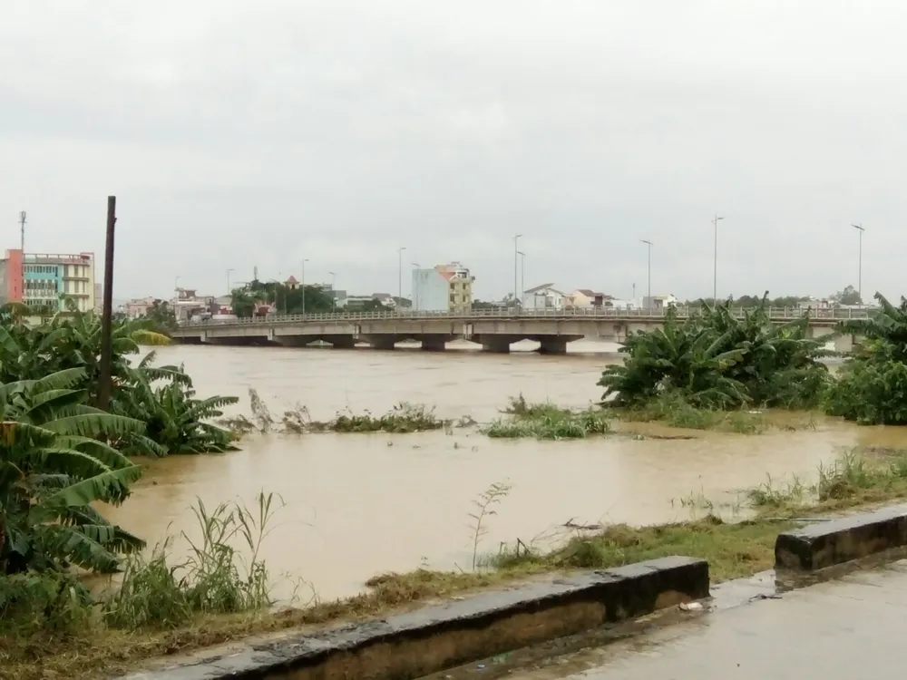 Phố biển Quy Nhơn tan hoang sau bão Matmo ảnh 13