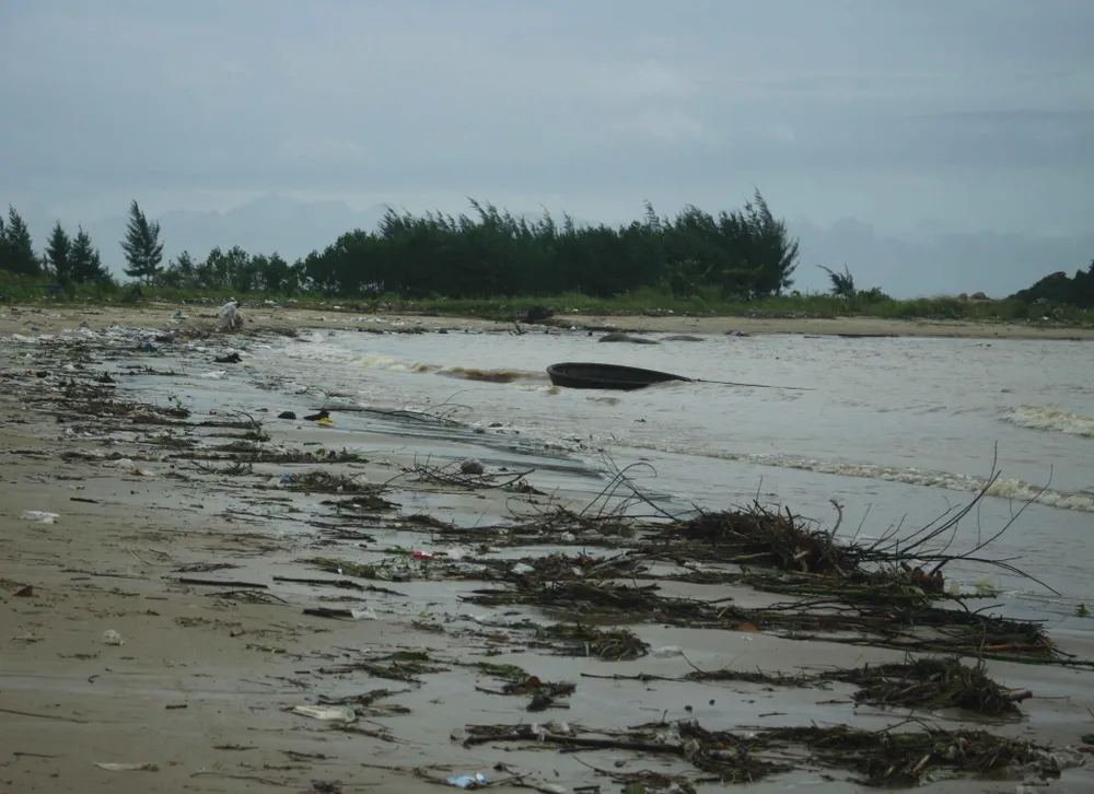 Củi, rác thải phủ khắp hạ lưu sông Trà Bồng sau bão số 5 ảnh 1