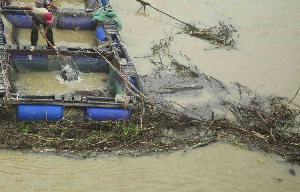 Củi, rác thải phủ khắp hạ lưu sông Trà Bồng sau bão số 5 ảnh 6
