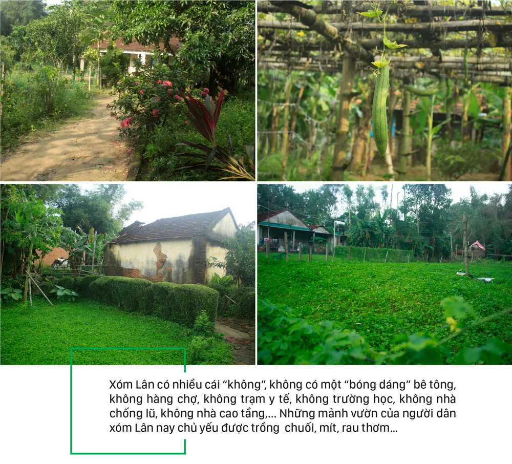 Thanh bình giữa xóm Lân ảnh 4