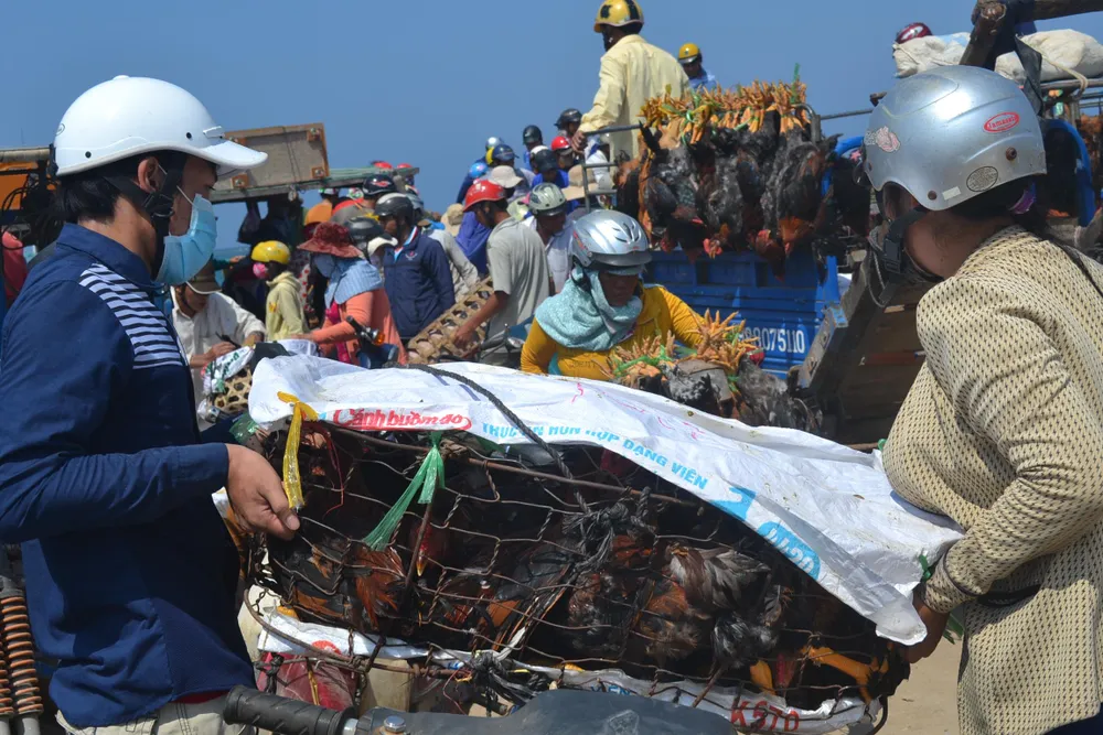 Các tỉnh miền Trung “căng mình” chống bão số 6 ảnh 7