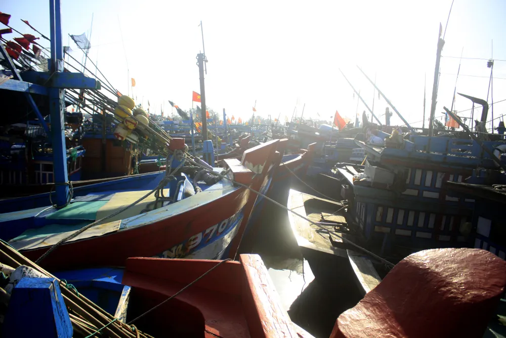 Tàu cá bị mắc kẹt giữa âu thuyền ở Quảng Ngãi ảnh 4