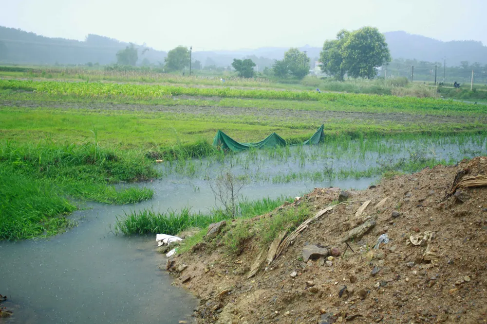 Đã quá 330 ngày chờ lún, vòng xoay Dung Quất nối cao tốc Đà Nẵng - Quảng Ngãi vẫn ngổn ngang ảnh 11