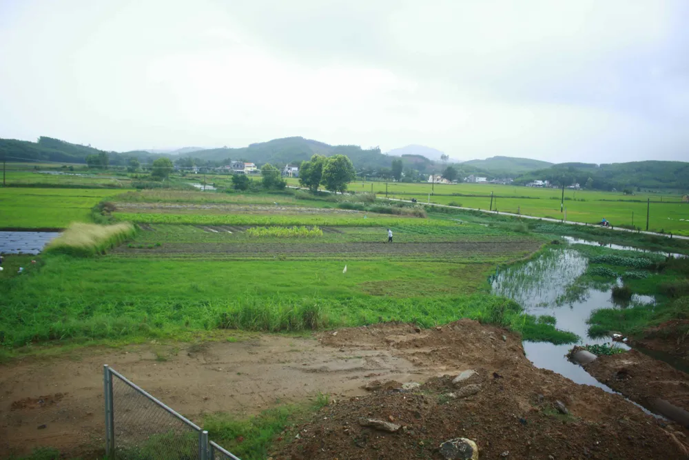 Đã quá 330 ngày chờ lún, vòng xoay Dung Quất nối cao tốc Đà Nẵng - Quảng Ngãi vẫn ngổn ngang ảnh 3