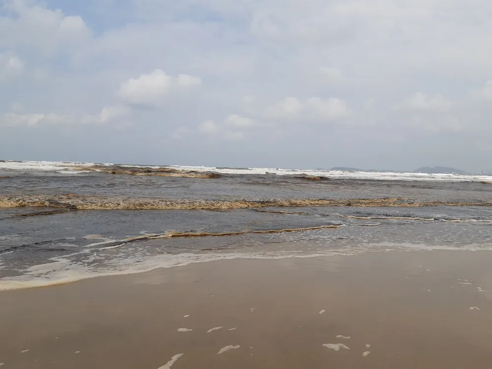 Nước biển ở Quảng Ngãi chuyển màu nâu đen, nổi bọt ảnh 3