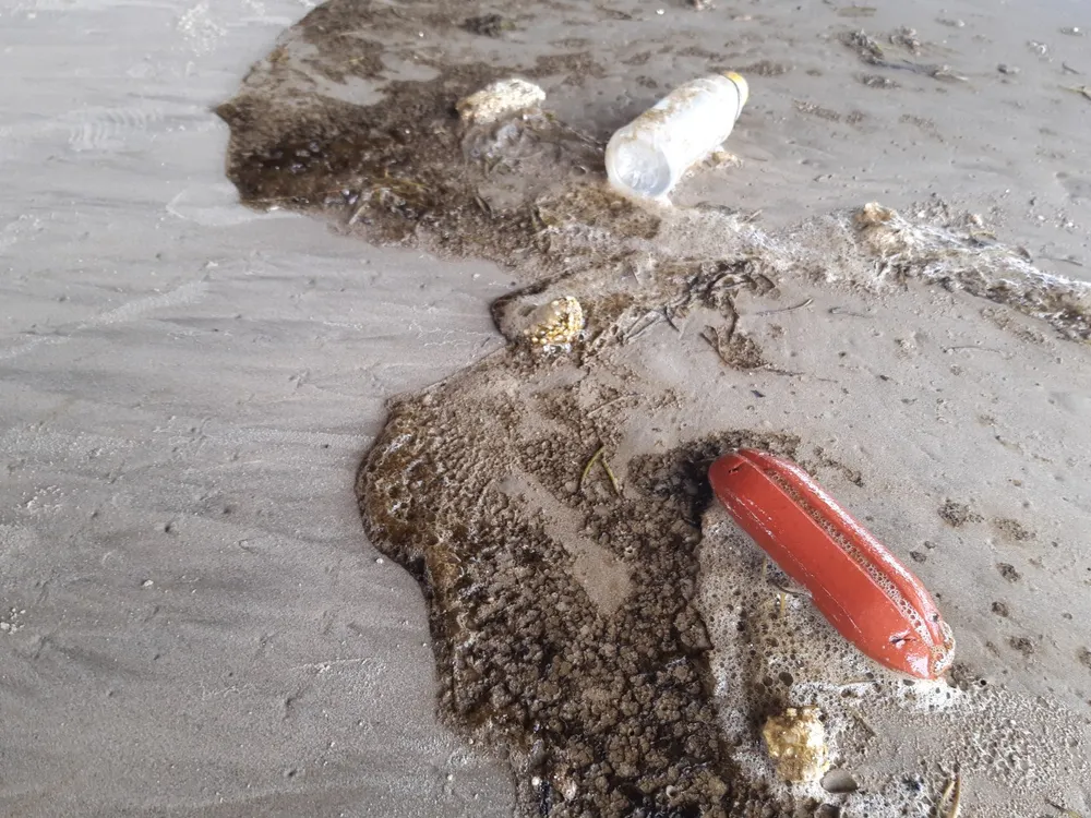 Nước biển ở Quảng Ngãi chuyển màu nâu đen, nổi bọt ảnh 1