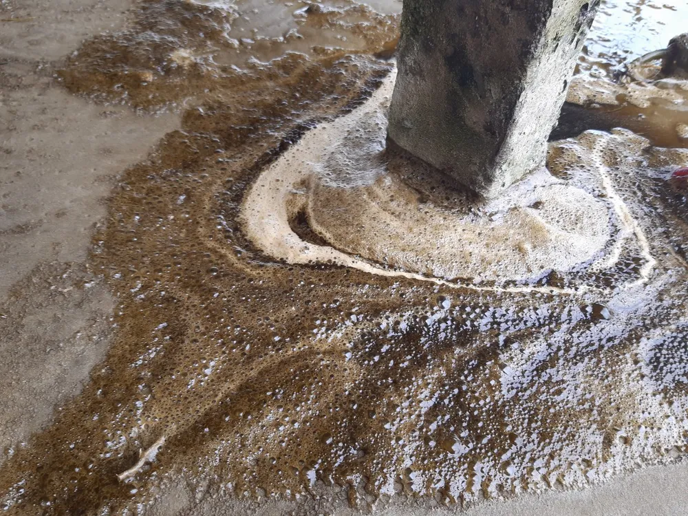 Nước biển ở Quảng Ngãi chuyển màu nâu đen, nổi bọt ảnh 4