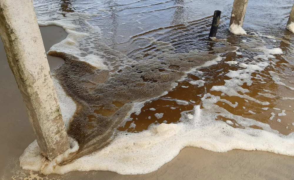 Vụ nước biển đổi màu tại Quảng Ngãi: 1/4 mẫu nước biển có độ pH vượt mức cho phép ảnh 1