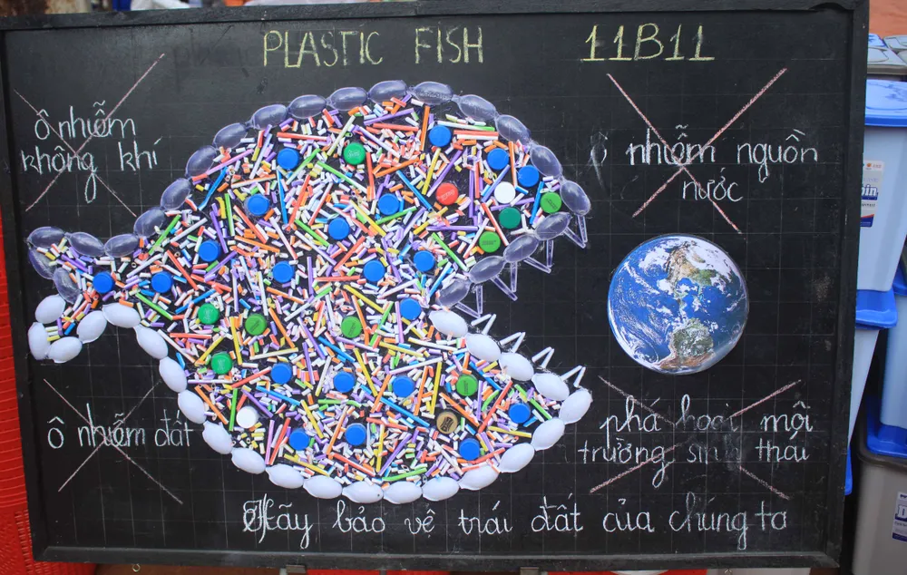 Phát động “Tử tế với sông Trà Bồng” ảnh 11