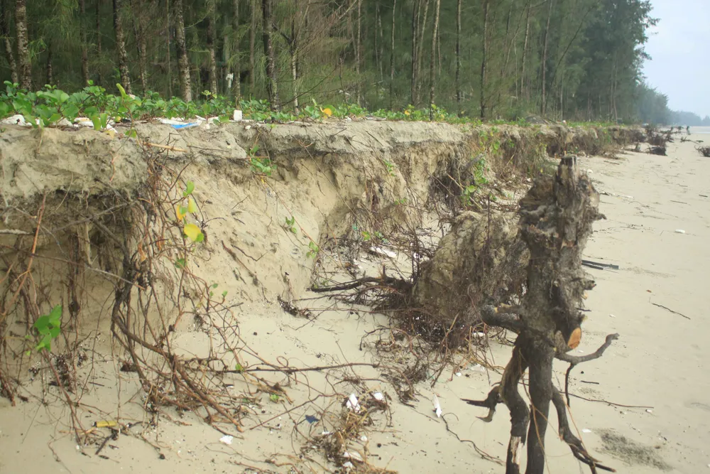 Xói lở bờ biển ở bãi biển Mỹ Khê, Quảng Ngãi ảnh 6