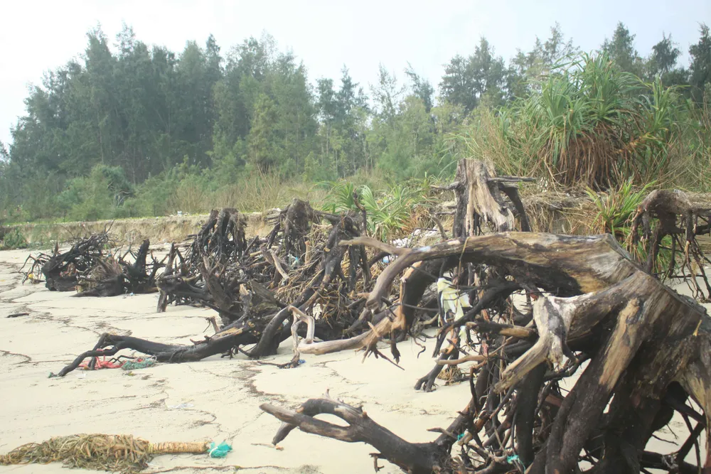 Xói lở bờ biển ở bãi biển Mỹ Khê, Quảng Ngãi ảnh 8