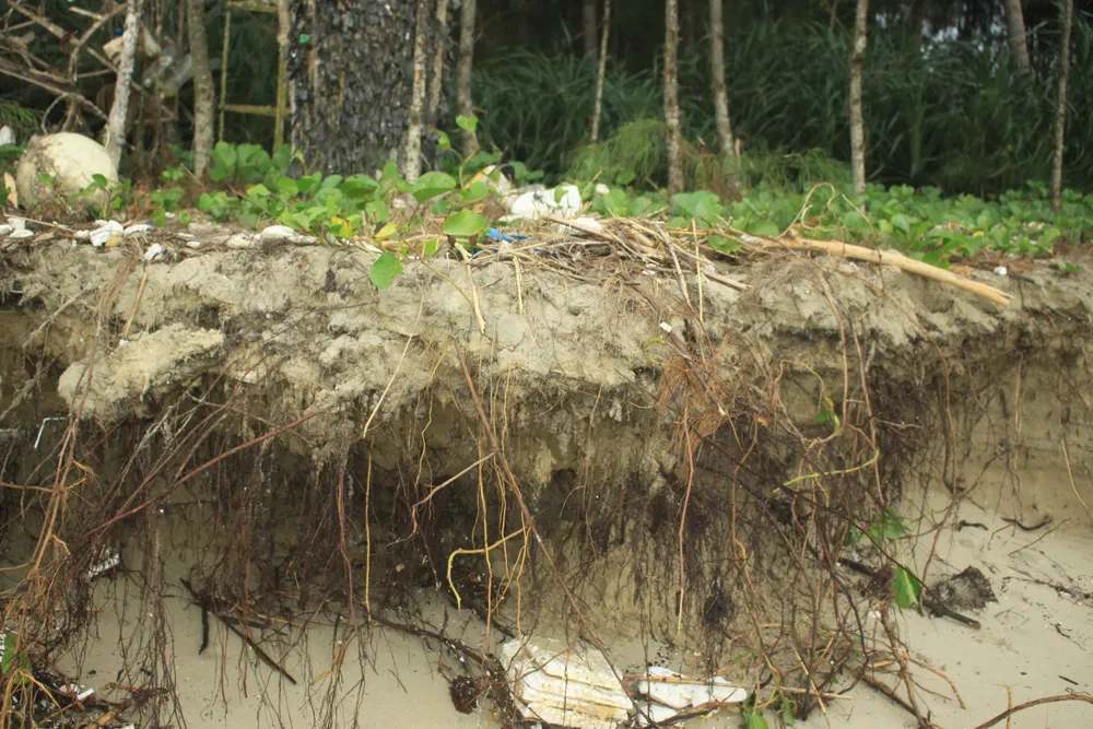 Xói lở bờ biển ở bãi biển Mỹ Khê, Quảng Ngãi ảnh 2