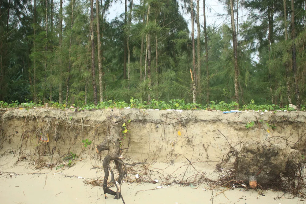 Xói lở bờ biển ở bãi biển Mỹ Khê, Quảng Ngãi ảnh 3