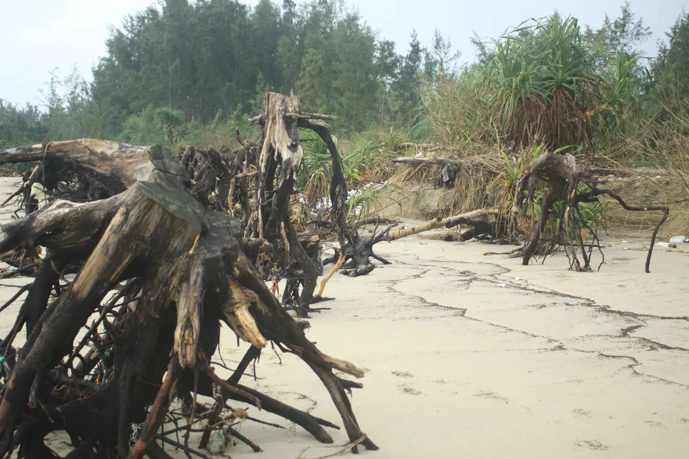 Xói lở bờ biển ở bãi biển Mỹ Khê, Quảng Ngãi ảnh 7