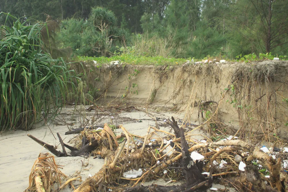 Xói lở bờ biển ở bãi biển Mỹ Khê, Quảng Ngãi ảnh 1