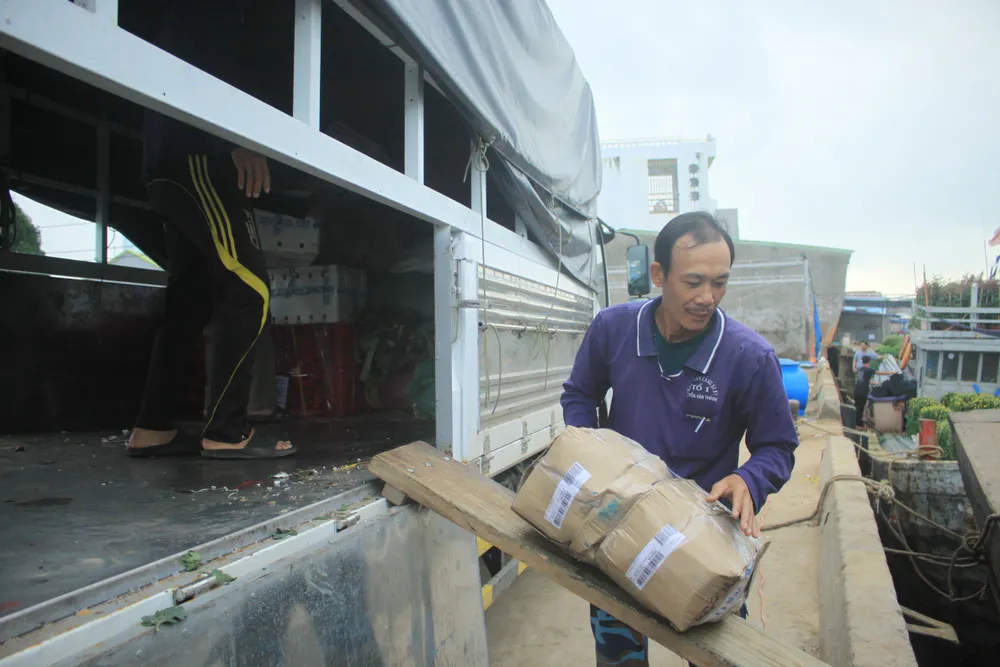 Những chuyến tàu “chở tết” ra đảo Lý Sơn ảnh 6