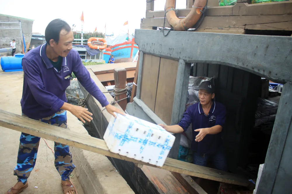 Những chuyến tàu “chở tết” ra đảo Lý Sơn ảnh 7