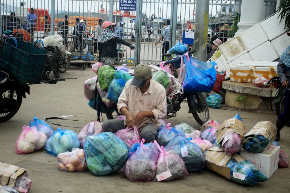 Những chuyến tàu “chở tết” ra đảo Lý Sơn ảnh 9