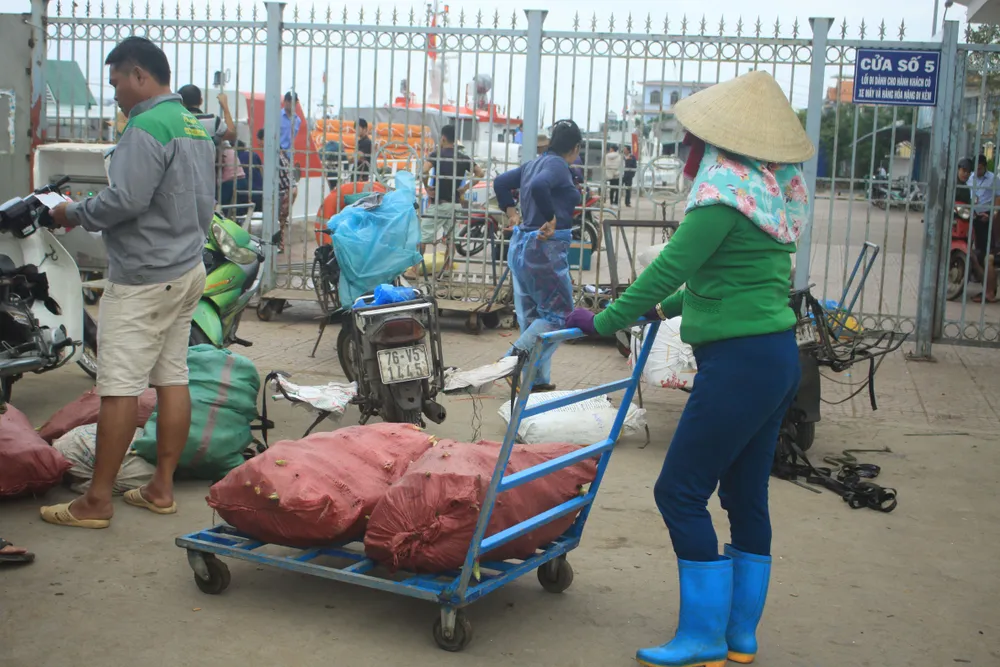 Những chuyến tàu “chở tết” ra đảo Lý Sơn ảnh 10