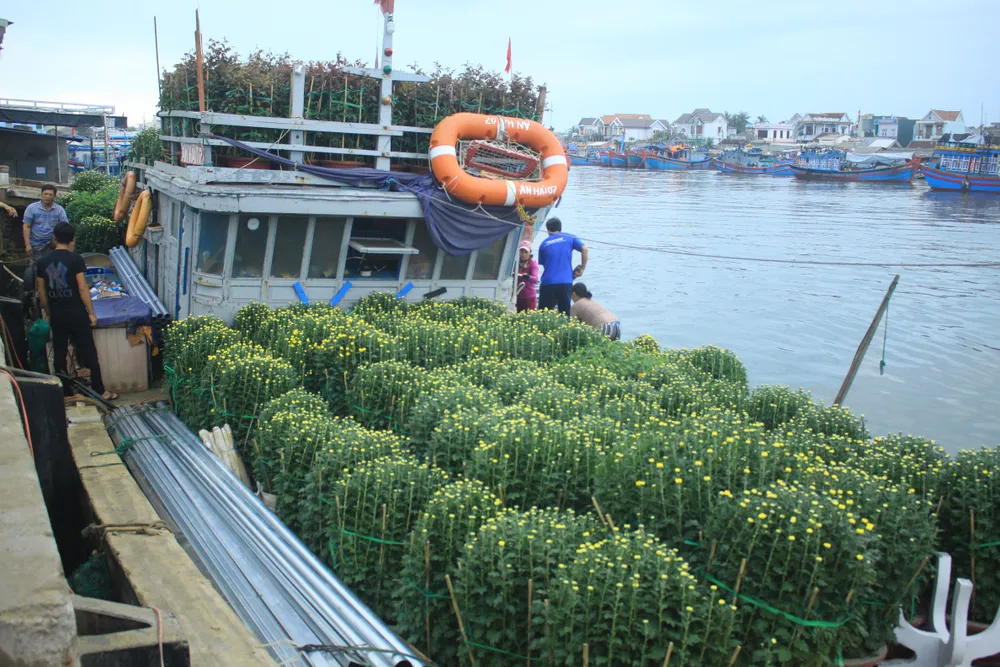 Những chuyến tàu “chở tết” ra đảo Lý Sơn ảnh 4