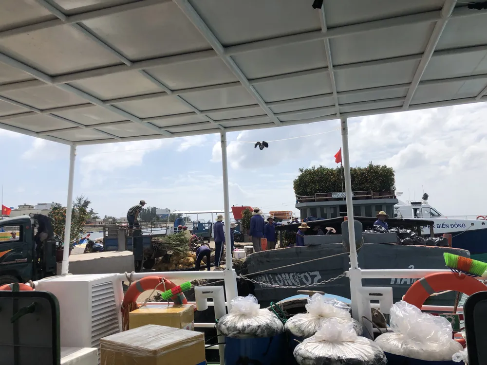 Những chuyến tàu “chở tết” ra đảo Lý Sơn ảnh 14