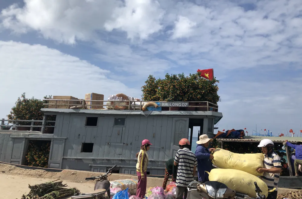 Những chuyến tàu “chở tết” ra đảo Lý Sơn ảnh 13