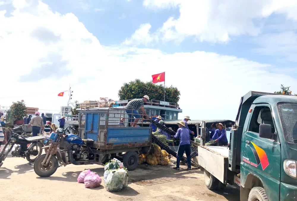 Những chuyến tàu “chở tết” ra đảo Lý Sơn ảnh 11