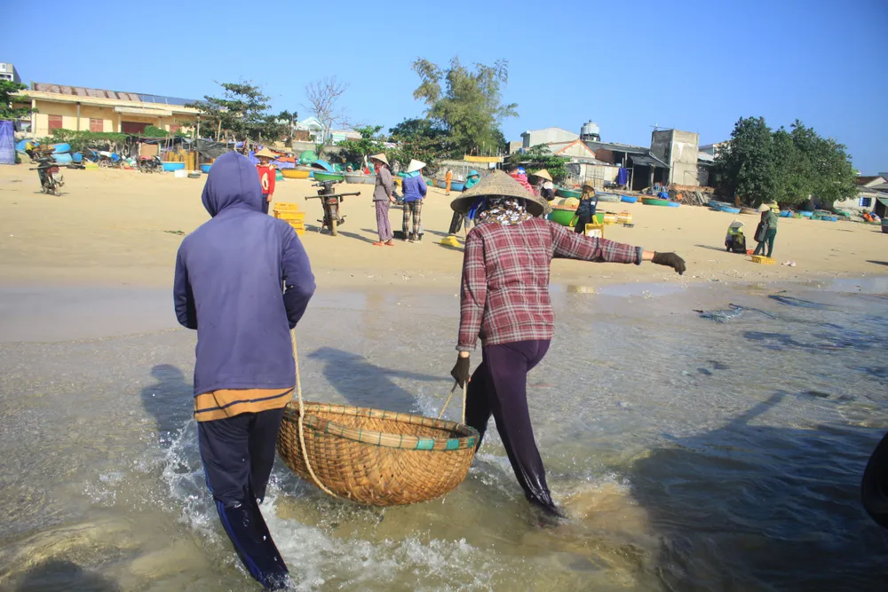 Ngư dân Quảng Ngãi trúng đậm mùa ruốc biển  ảnh 7
