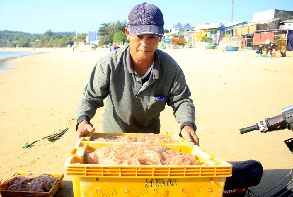 Ngư dân Quảng Ngãi trúng đậm mùa ruốc biển  ảnh 9