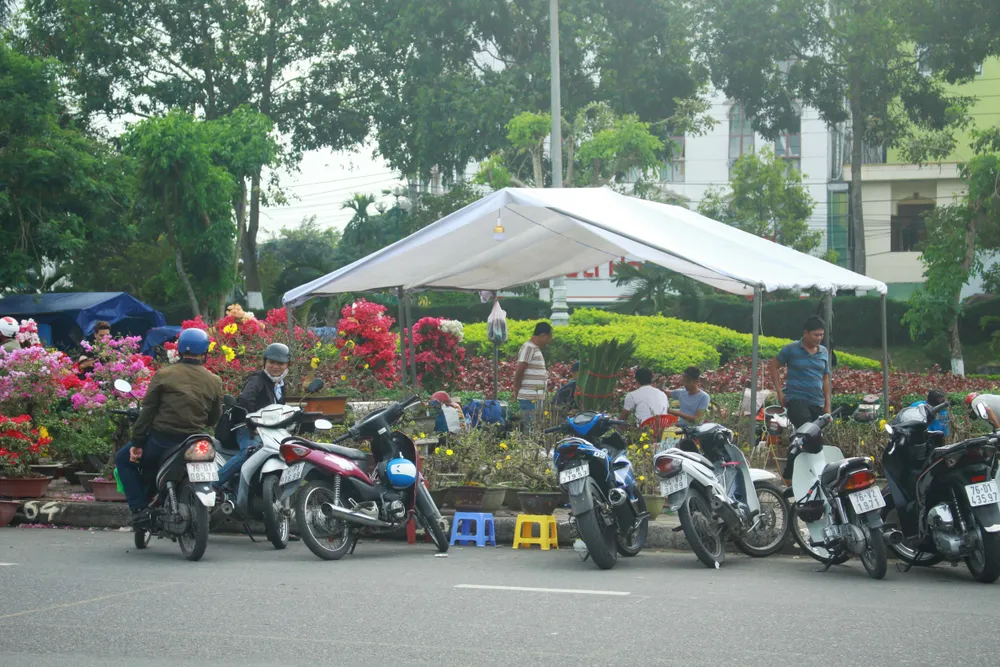Quảng Ngãi: Nhộn nhịp chợ hoa sớm, hội xuân khai mở ảnh 10