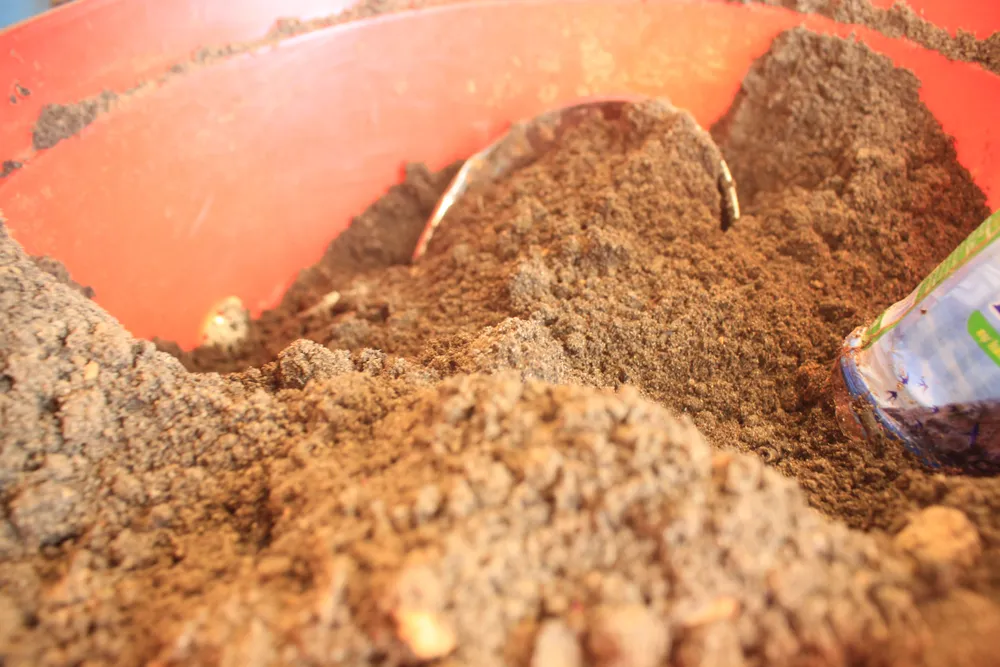 Nghề làm nhang ở phố xưa Thu Xà ảnh 5